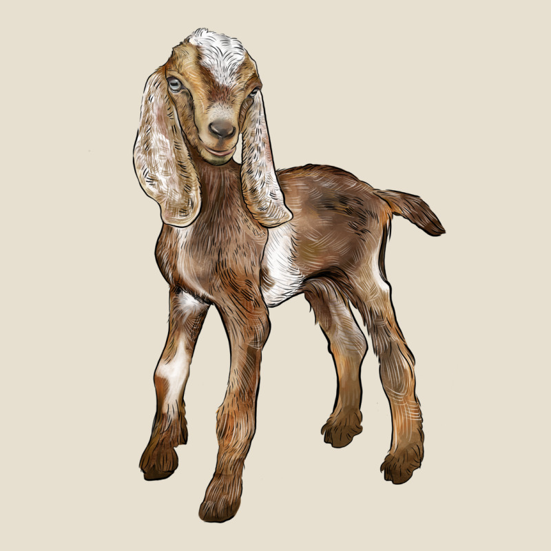 Baby Nubian Goat Urban Heavy Tee by LillyAllenDesigns | Teevron