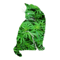 funny cannabis & cat lover marijuana weed smoker art t shirt | Teevron