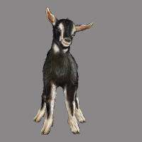 Hand Drawn Baby Alpine Goat Vintage Tee | Teevron