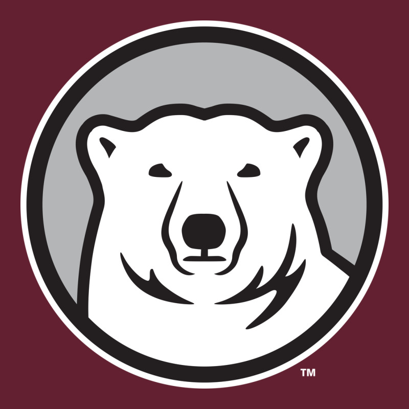 Bowdoin College Classic Tee by linhVisuals | Teevron
