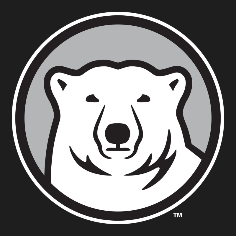 Bowdoin College Classic Tee by linhVisuals | Teevron
