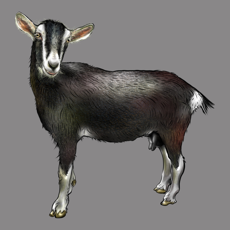 Alpine Goat Vintage Tee by LillyAllenDesigns | Teevron