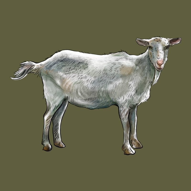 Saanen Goat Vintage Tee by LillyAllenDesigns | Teevron