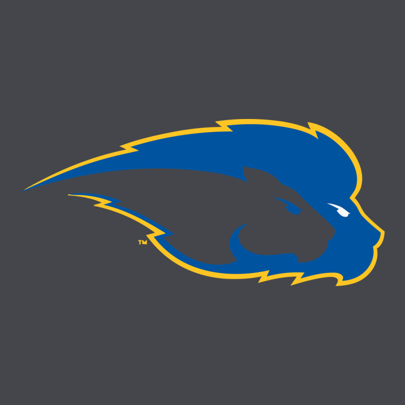Hofstra Pride Classic Tee by linhVisuals | Teevron