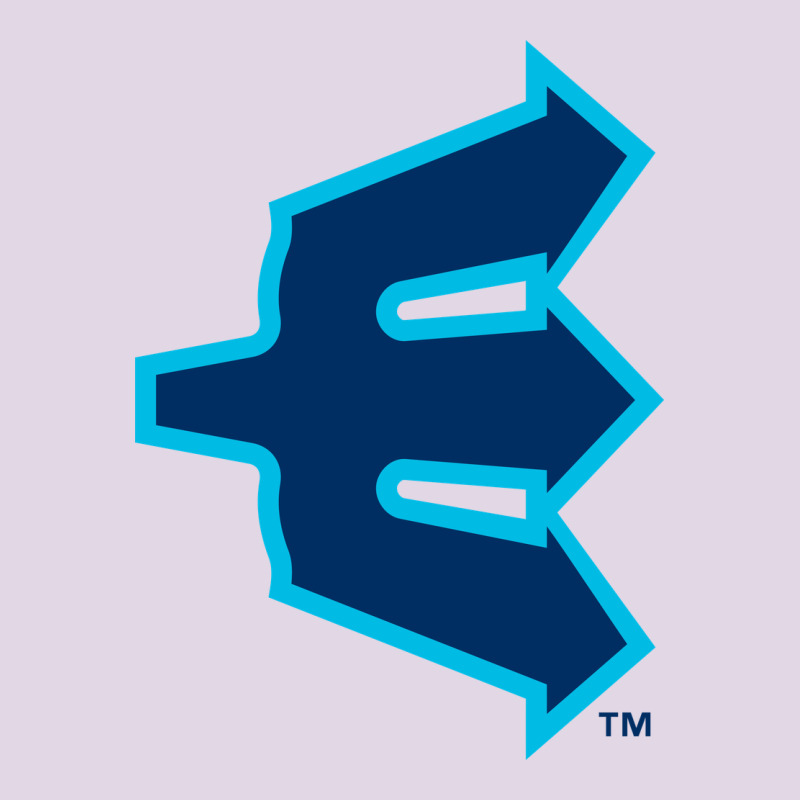 Everett Aquasox Classic Tee by linhVisuals | Teevron
