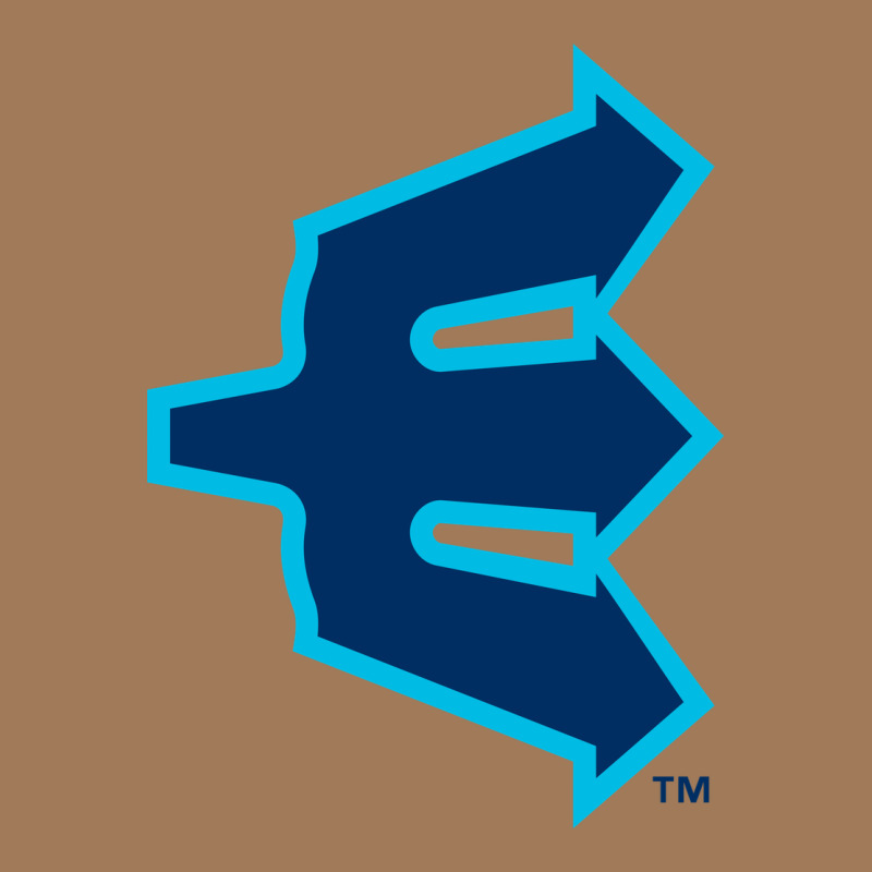 Everett Aquasox Classic Tee by linhVisuals | Teevron