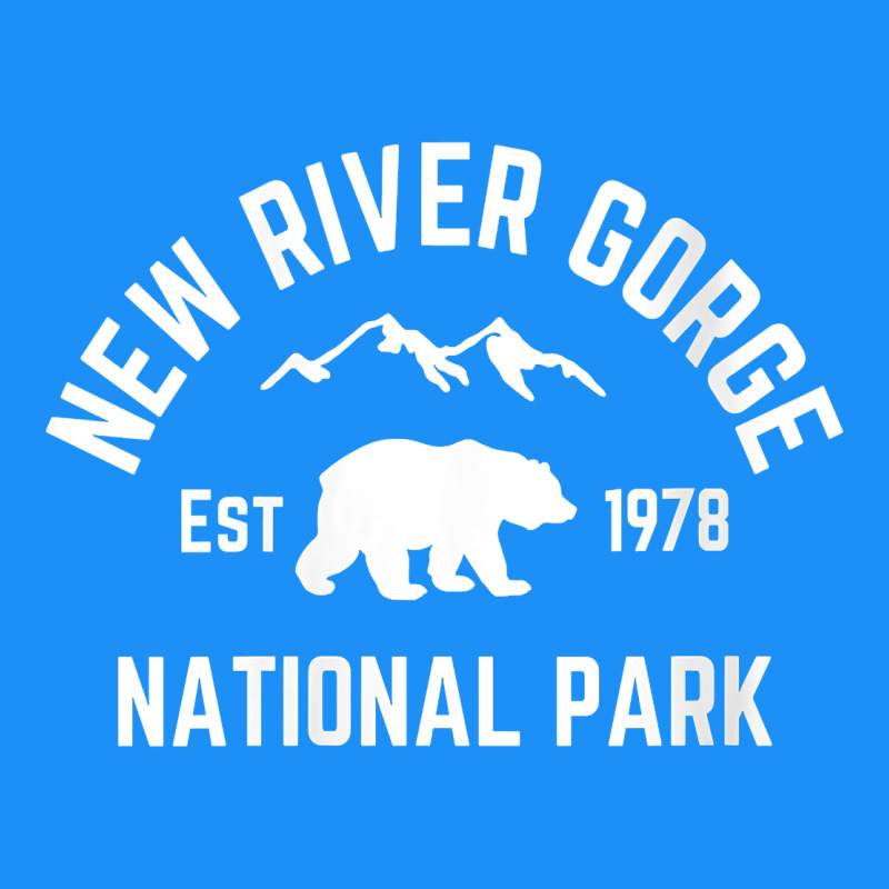Womens New River Gorge National Park Bear West Virginia Nature V Neck Classic Tee by linhVisuals | Teevron