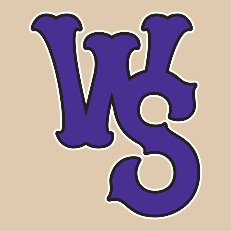 Winston-salem-dash Classic Tee by linhVisuals | Teevron