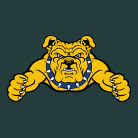 North Carolina A&t Aggies Classic Tee | Teevron