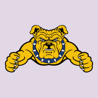 North Carolina A&t Aggies Classic Tee | Teevron