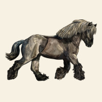 Belgian Horse Vintage Tee | Teevron