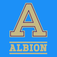 Albion College Athleticpurple Classic Tee | Teevron