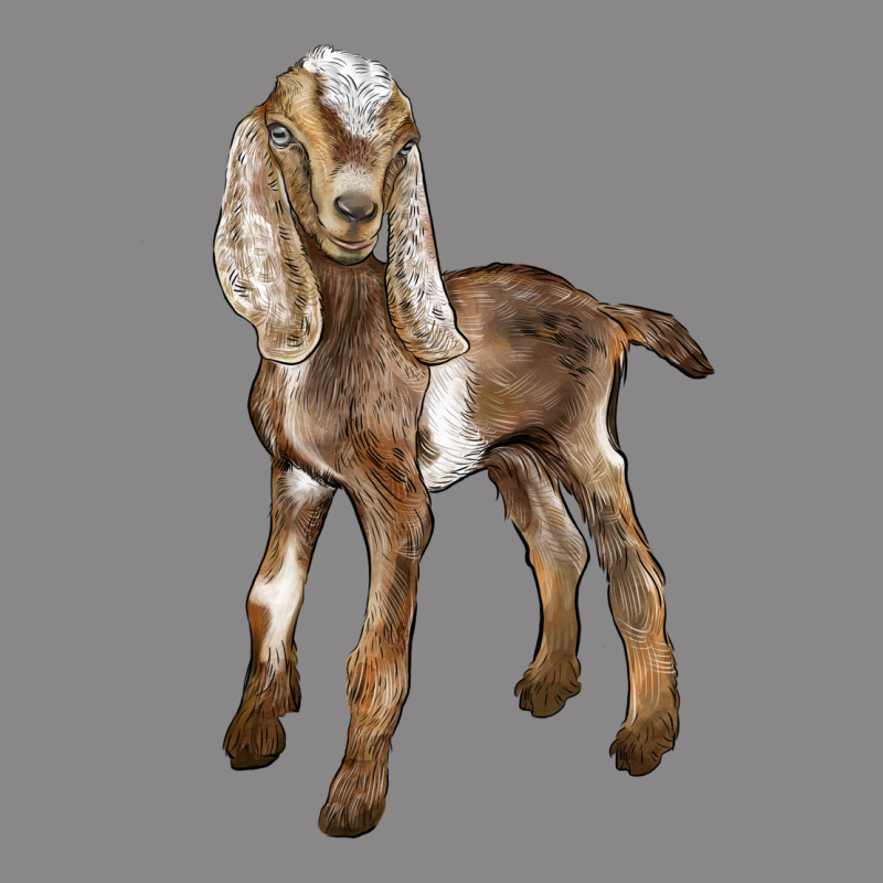 Baby Nubian Goat Vintage Tee by LillyAllenDesigns | Teevron