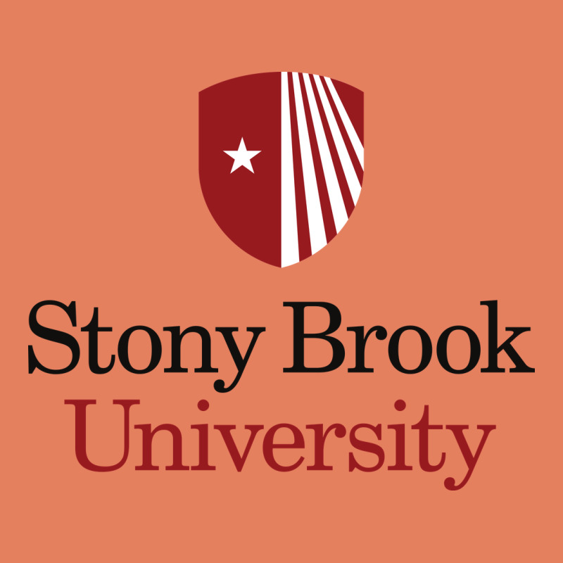 Stony Brook University Classic Tee by linhVisuals | Teevron