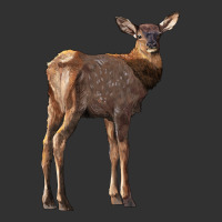 Elk Fawn Deer Urban Heavy Tee | Teevron