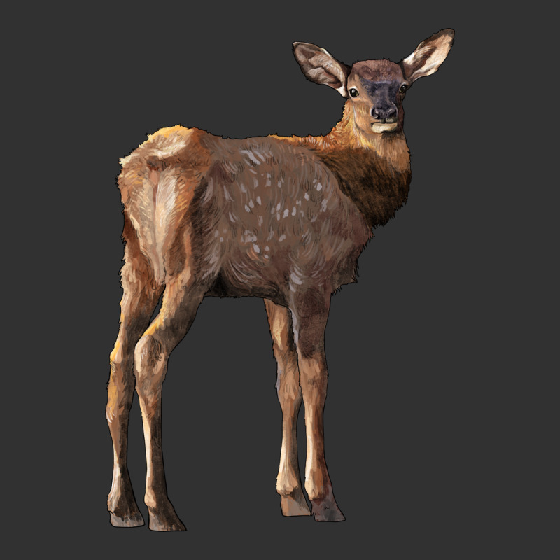 Elk Fawn Deer Urban Heavy Tee by LillyAllenDesigns | Teevron
