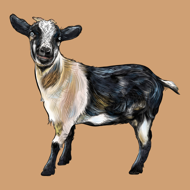Tennessee Fainting Goat Vintage Tee by LillyAllenDesigns | Teevron