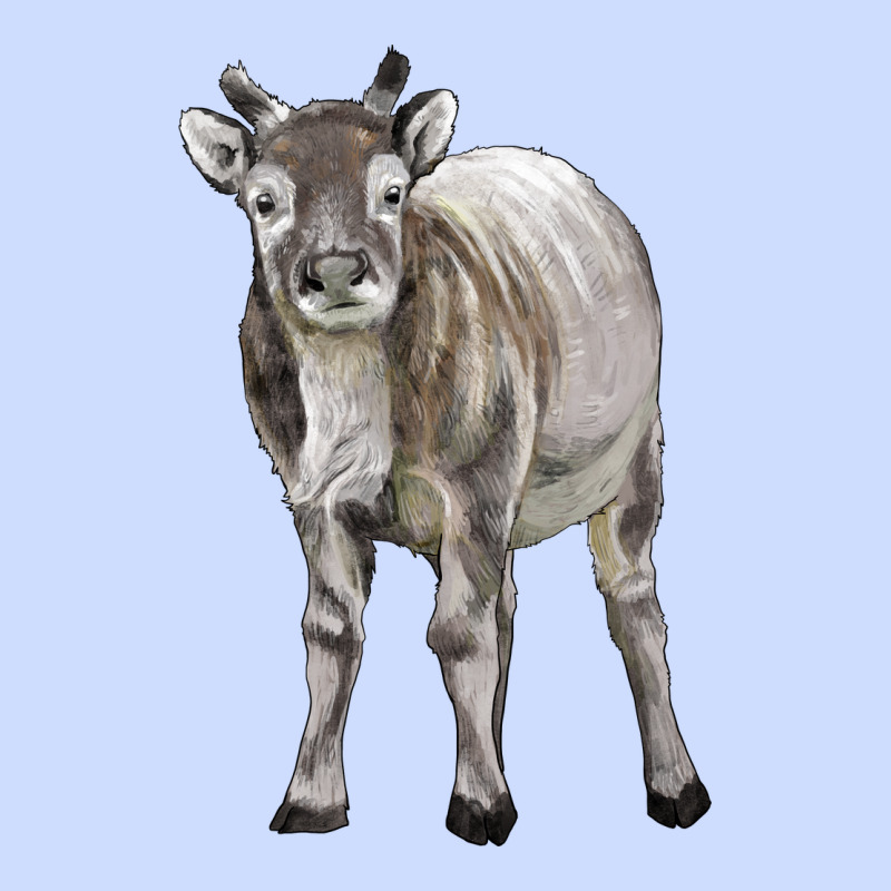 Reindeer Fawn Deer Urban Heavy Tee by LillyAllenDesigns | Teevron
