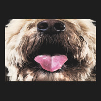 Labradoodle T  Shirtfunny Labradoodle Face Mask Funny Dog Mouth T  Shi Classic Tee | Teevron
