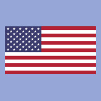 American Flag Classic Tee | Teevron