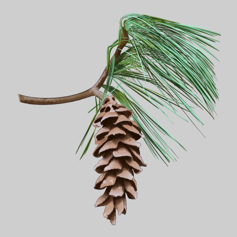 White Pine Cone Premium Tee by LillyAllenDesigns | Teevron