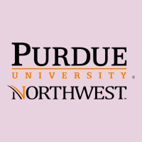 Purdue University Northwest Classic Tee | Teevron