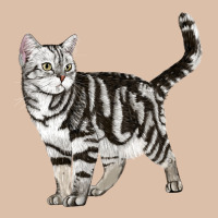 American Shorthair Cat Urban Heavy Tee | Teevron