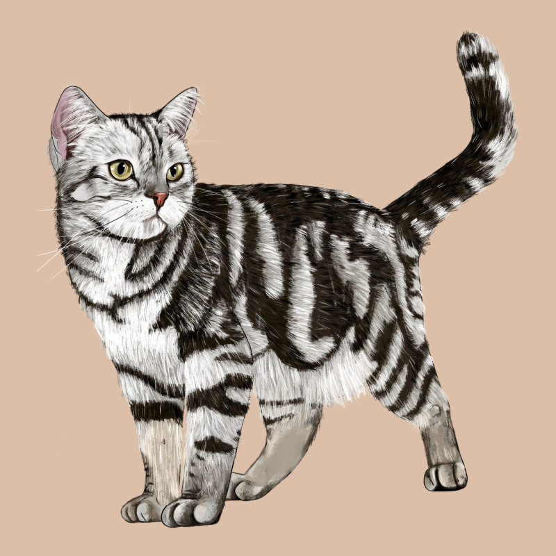 American Shorthair Cat Urban Heavy Tee by LillyAllenDesigns | Teevron