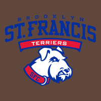 St. Francis Brooklyn Terriers Classic Tee | Teevron