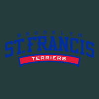 St. Francis Brooklyn Terriers Classic Tee | Teevron