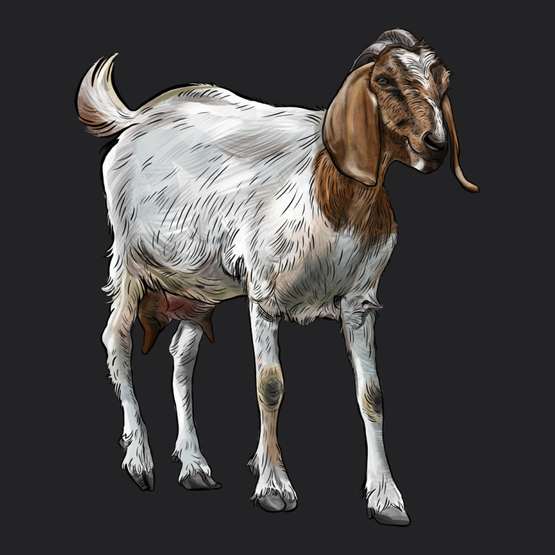Boer Goat Vintage Tee by LillyAllenDesigns | Teevron