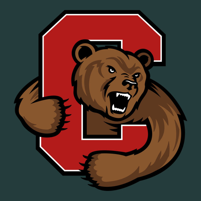 Cornell Classic Tee by linhVisuals | Teevron