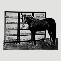 Beautiful Jim Key  Performing Horse Classic Tee | Teevron
