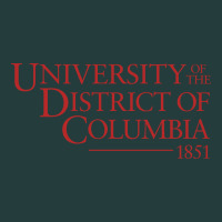 University Of The District Of Columbia Classic Tee | Teevron