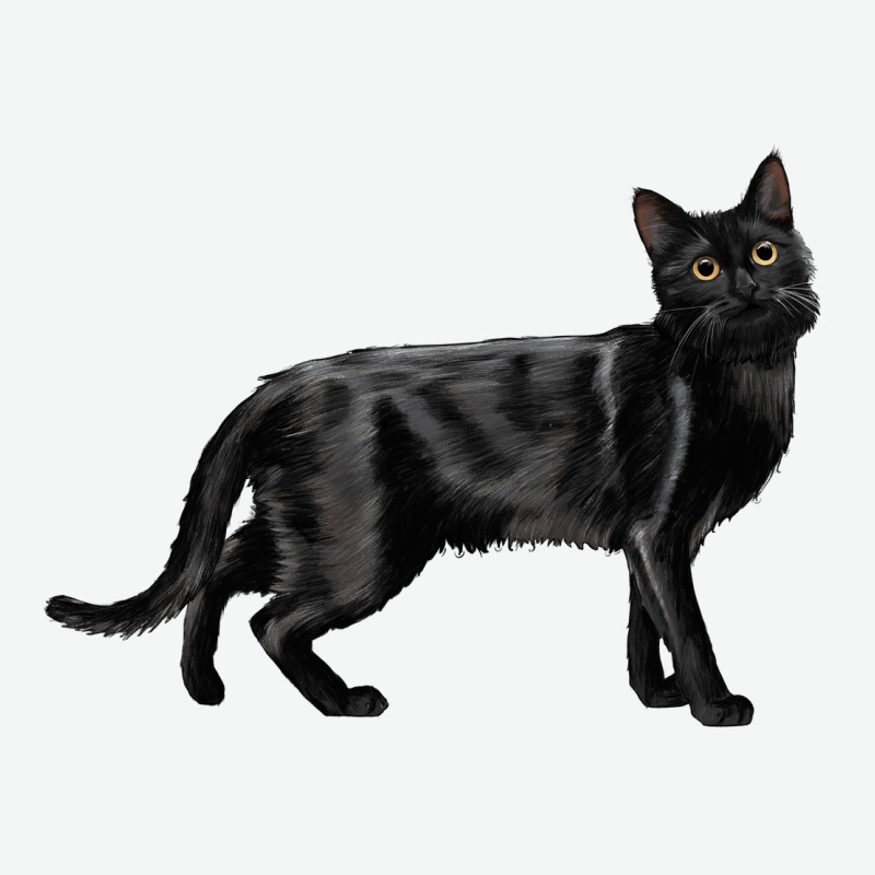 Bombay Cat Urban Heavy Tee by LillyAllenDesigns | Teevron