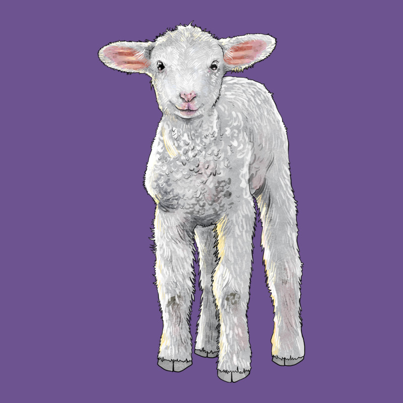 Merino Wool Baby Sheep Vintage Tee by LillyAllenDesigns | Teevron
