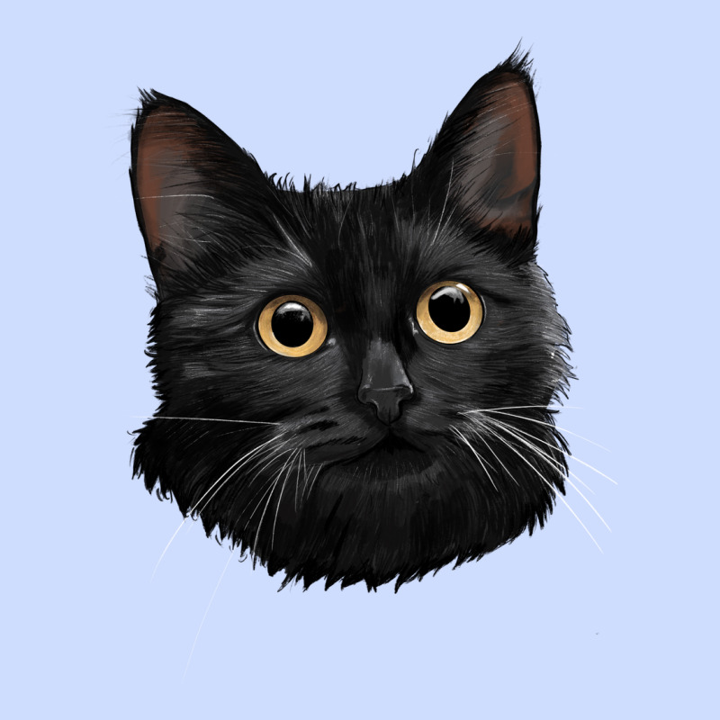 Bombay Cat Face Urban Heavy Tee by LillyAllenDesigns | Teevron