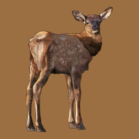 Elk Fawn Deer Vintage Tee | Teevron