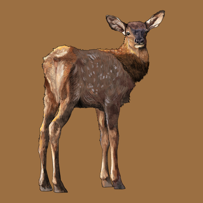 Elk Fawn Deer Vintage Tee by LillyAllenDesigns | Teevron