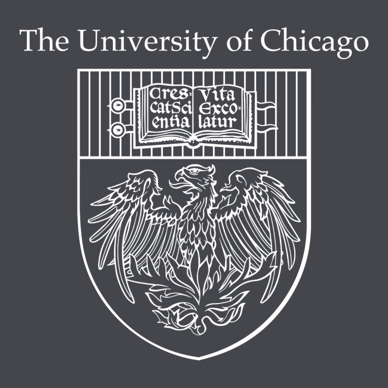 Chicago Classic Tee by linhVisuals | Teevron
