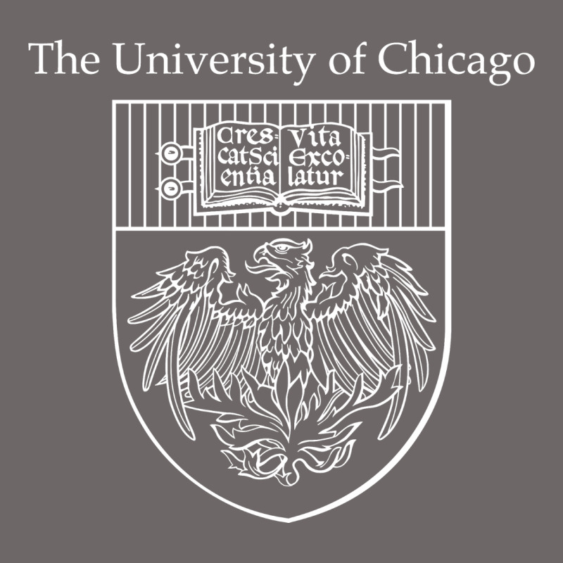 Chicago Classic Tee by linhVisuals | Teevron