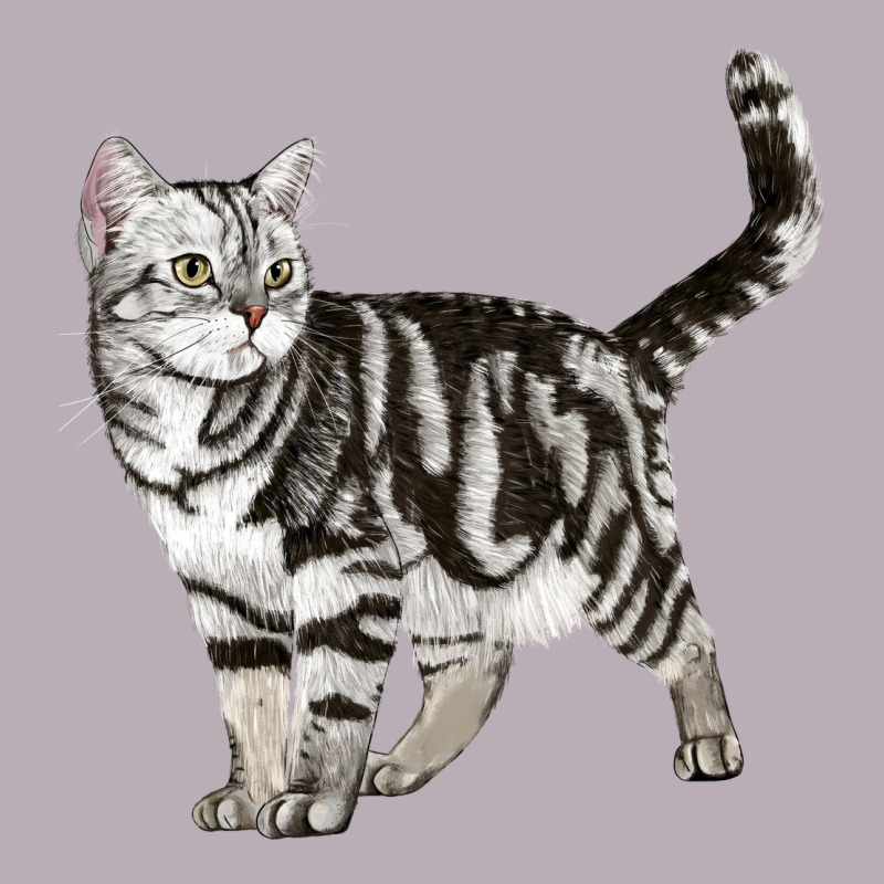 American Shorthair Cat Vintage Tee by LillyAllenDesigns | Teevron