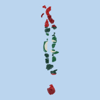 Maldives Map Flag Drawing Line Art Classic Tee | Teevron