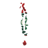 Maldives Map Flag Drawing Line Art | Teevron