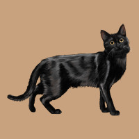 Bombay Cat Vintage Tee | Teevron