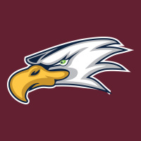 Eagle High School Classic Tee | Teevron