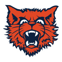 evanston township high school | Teevron