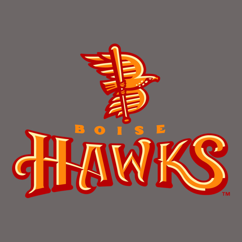 The-boise-hawks-fan Classic Tee by linhVisuals | Teevron