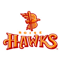 the-boise-hawks-fan | Teevron