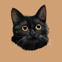 Bombay Cat Face Vintage Tee | Teevron